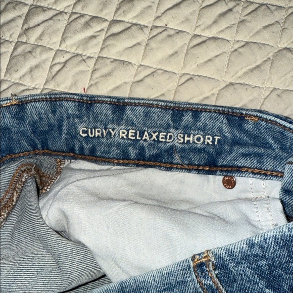 American Eagle Curvy Relaxed Shorts SZ 12 - Picture 2 of 6
